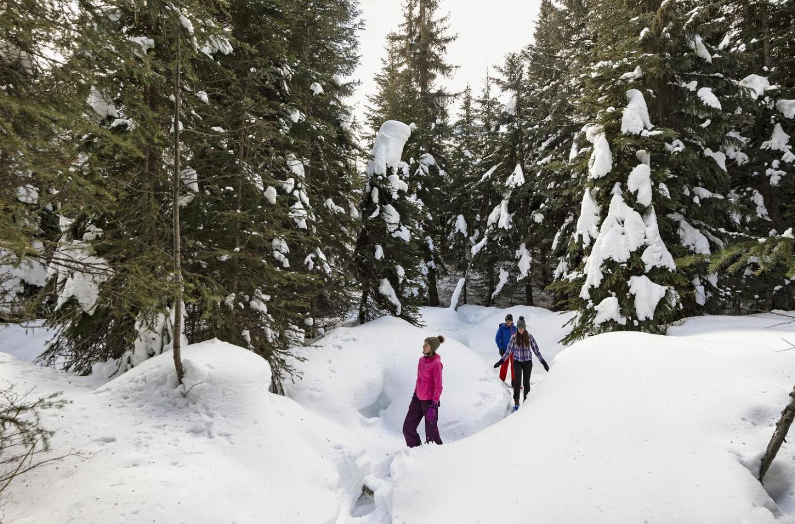 Soleil Chalet By Bear Country Sun Peaks Room photo